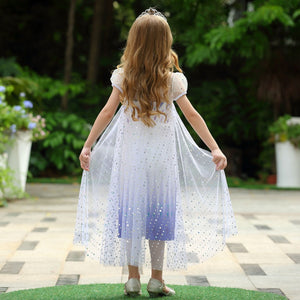 Elsa Dress Princess Costume for Girls Frozen 2 Sequin Cosplay Party Dress up
